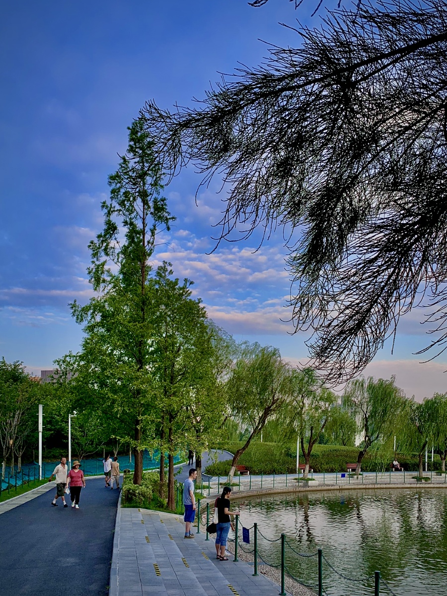 河边散步的人们