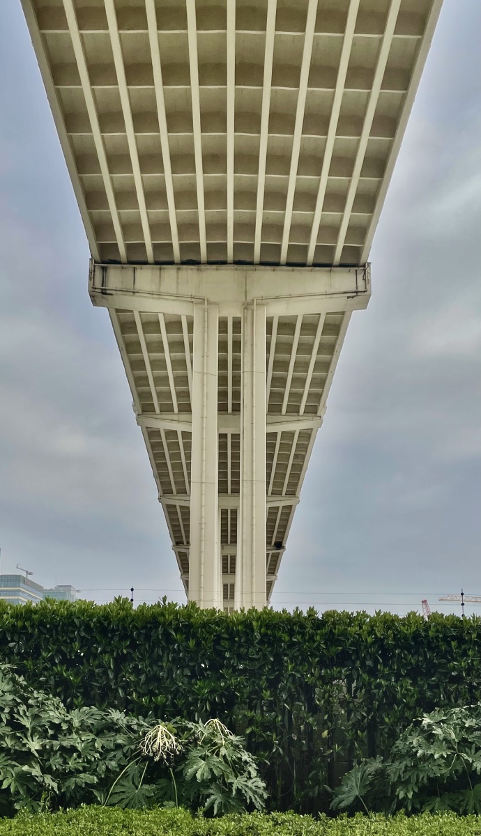 远处的卢浦大桥