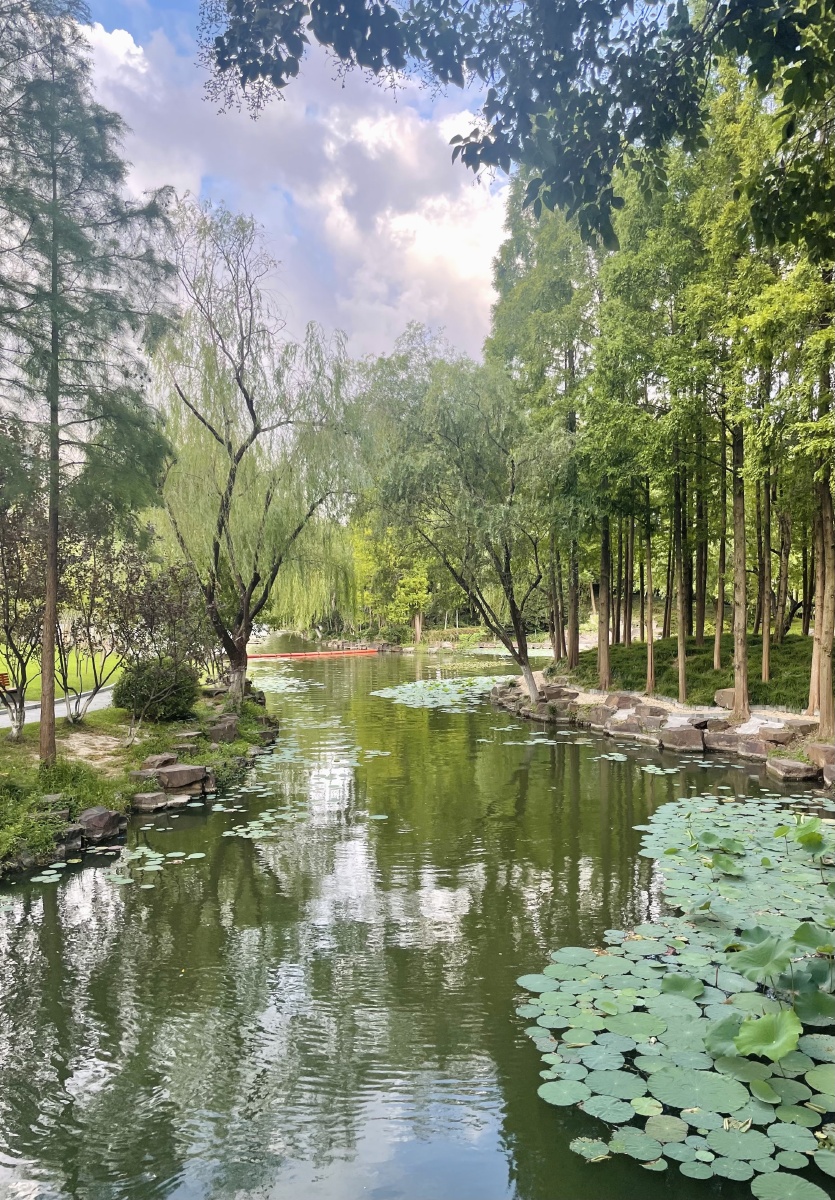 昨天傍晚台风烟花来临前在公园拍摄的水景