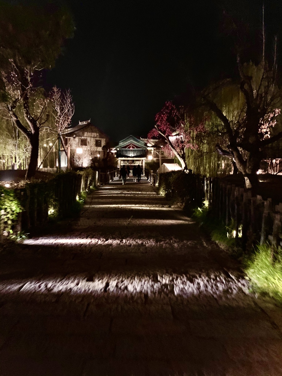 夜晚水镇街道