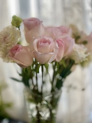 B01B5F8D-E550-442E-81E4-8A78B67BC616/L0/001