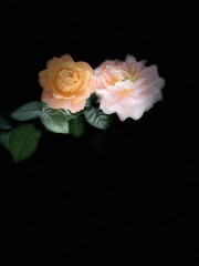 F3E25AEC-3A50-454B-B1BC-8F0E288A0FF4/L0/001