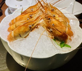 EB5CEC2E-515C-4505-BFEA-1746E3741A46/L0/001