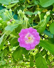 001