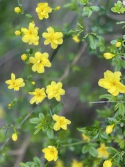 7F2C53DB-D578-4F28-A46C-E32F8EC0D3C1/L0/001