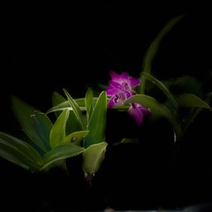 25F41173-625B-4CB2-A85F-E32125D9DCE7/L0/001