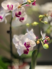 8547EF13-12F6-4FFB-A7D9-5756D26DBEDB/L0/001