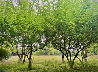 DDFBA31C-A44E-4D83-B154-CC2046F6B44C/L0/001