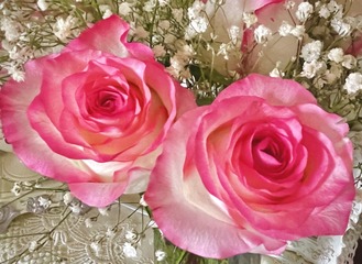 4AB1B070-30CD-41E9-98F5-09E38B326D8D/L0/001