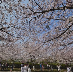 99DEBD91-3F4D-41DF-8541-A8F1902D601C/L0/001