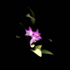 F600CAA5-14E6-4897-B62C-011A6F82540A/L0/001