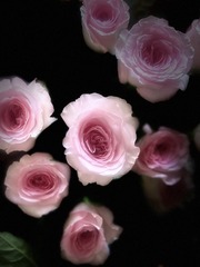 7BCC3D26-F432-45D9-B024-A9C479CE24A5/L0/001