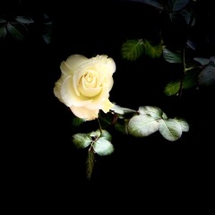 22171CD6-31E0-4F22-9651-159F81544DAE/L0/001