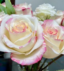 1F4D21E7-F2B7-4800-B501-548822F2B2BC/L0/001