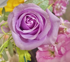 5E157271-A819-4FF2-9133-7EF0255AC249/L0/001