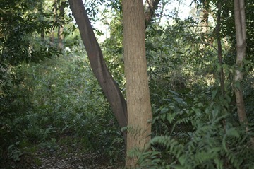 818541