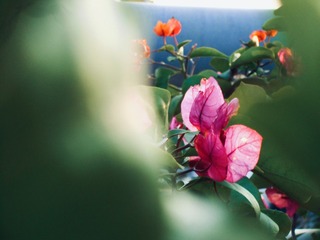 C754C486-42C0-42E3-92D0-A2EF30724AC5/L0/001