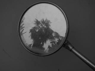 3010DDBE-8D41-4050-96A3-24F04F3006CD/L0/001