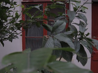 95C7DA76-3D95-490E-94FA-B58B64A51AE6/L0/001