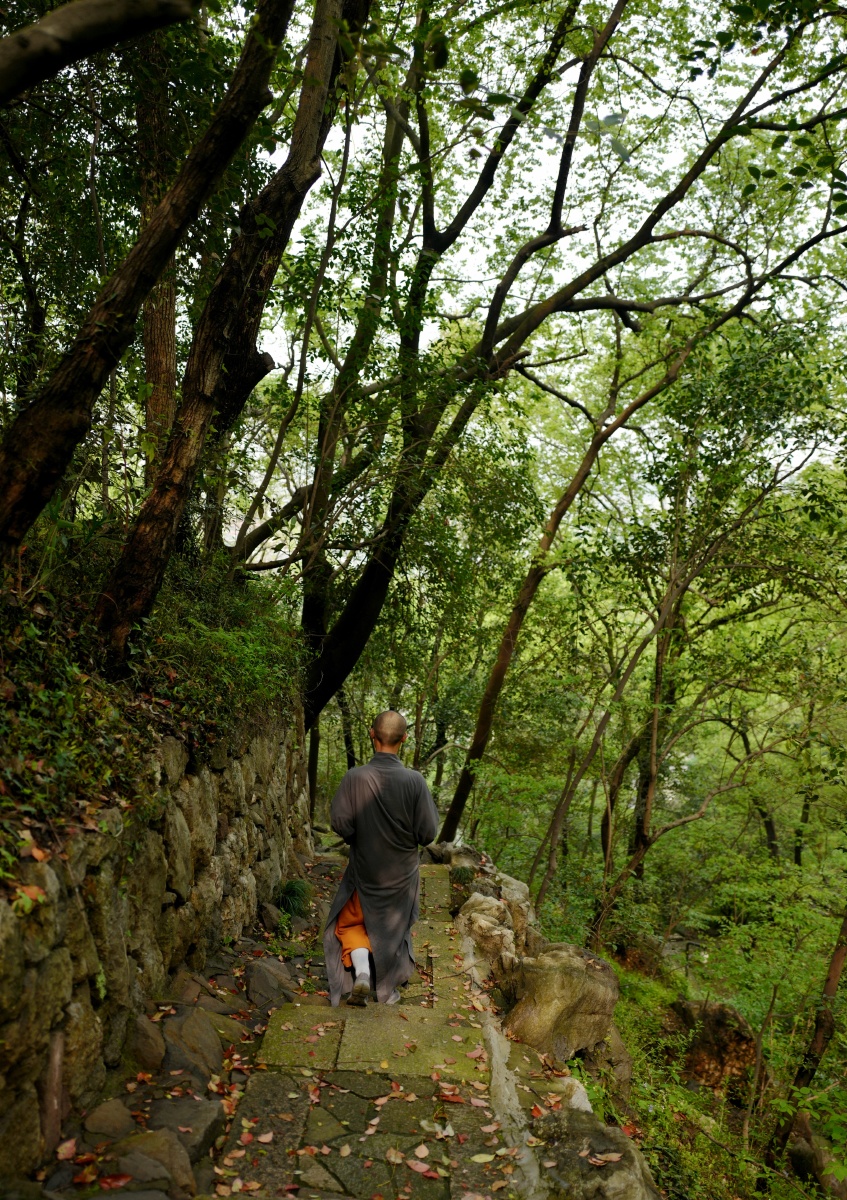 树林里的僧人