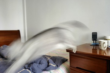 1000146509