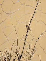 70571054-BA3B-471C-8AA3-F4766ED5CDB3/L0/001