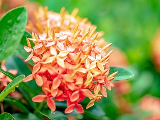 8AA87DB5-7920-46D3-9357-1B7910D9CB5C/L0/001