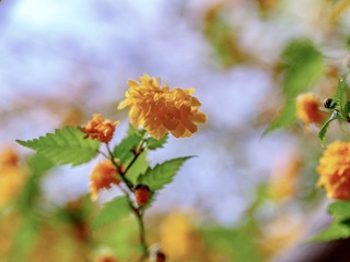 9C530C7B-2875-4E70-AC3D-B01AA1872BC6/L0/001