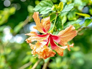 25D682BD-820E-4598-95F8-D8E4227FB2C9/L0/001