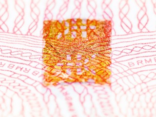44BB5F70-2834-4F02-B127-6712C206F7A7/L0/001