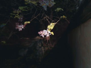 EB720F0D-7F83-4073-A767-264528E3FEDF/L0/001