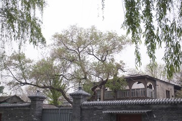 IMG_0972_1