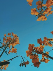 E6EAFFAF-26C1-4E71-B13C-9D80E3175625/L0/001