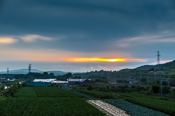 1907041