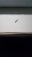 1201272
