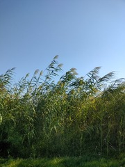 1000001235