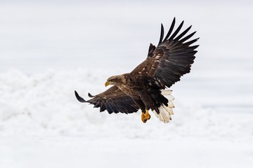 4787