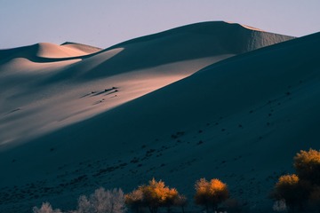 2415857