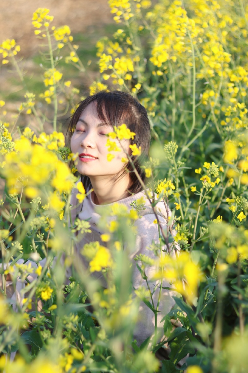 油菜花女孩