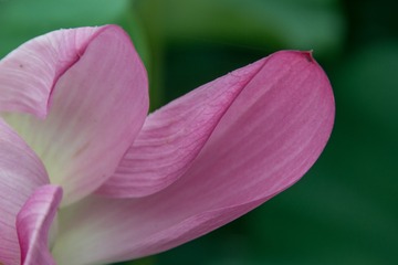 6839CB0B-DD59-45A3-9ECB-314A529441D3/L0/001