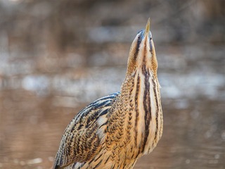 49678
