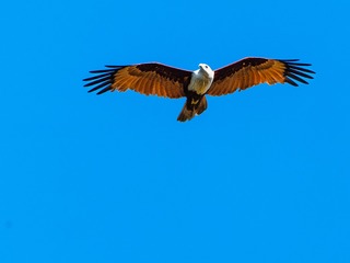 937864