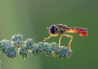 2507552