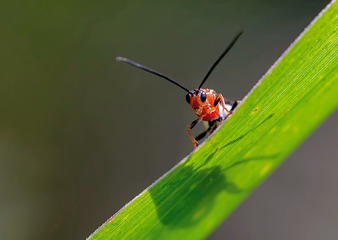 2508201
