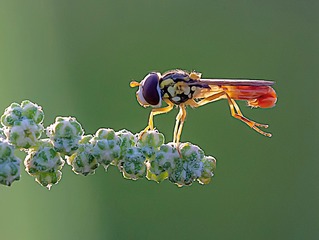 2507549