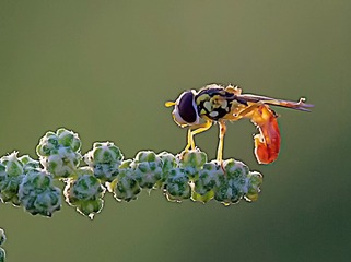 2507548