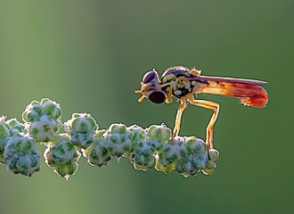 2507550