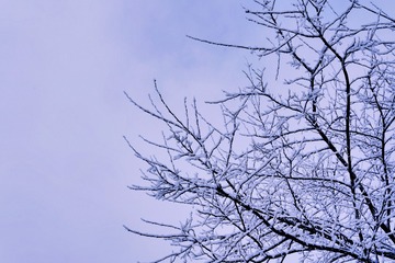 C961C4B8-2F60-475A-923A-D153AC13596E/L0/001