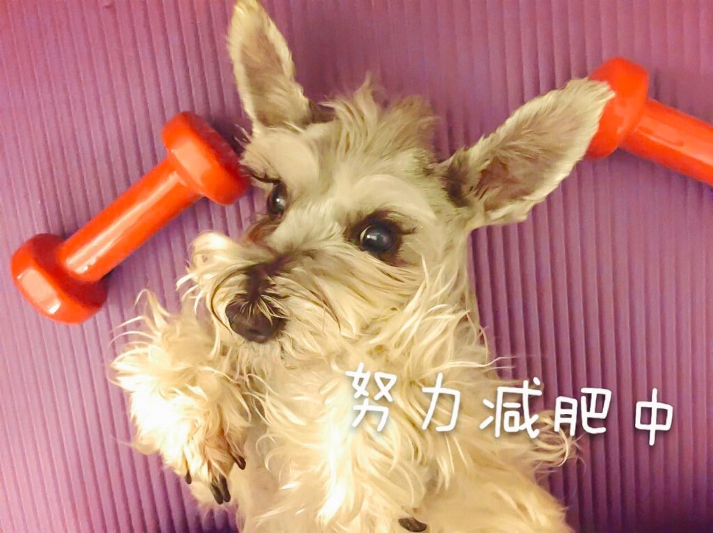 来一张娱乐性的照片吧哈哈