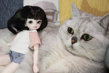 79FFE408-D55A-44B1-A812-59EA12196CC1/L0/001